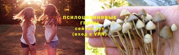тгк Майский