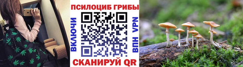 где продают наркотики  Ялуторовск  Галлюциногенные грибы MAGIC MUSHROOMS 