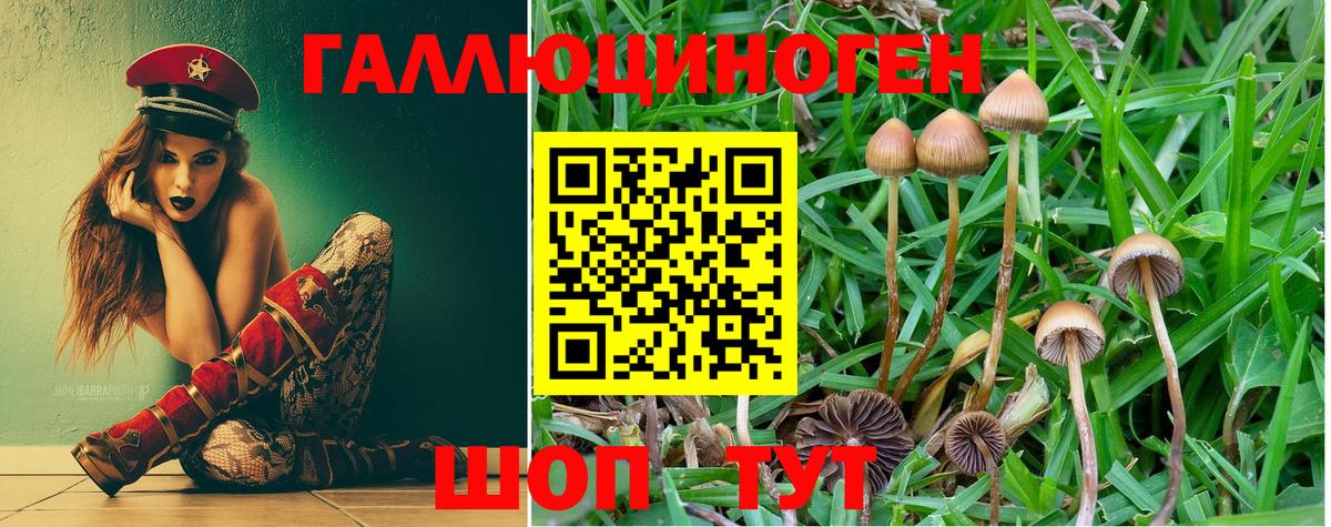 Псилоцибиновые грибы Magic Shrooms Ялуторовск