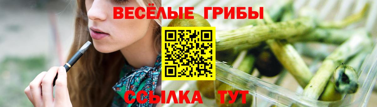 Галлюциногенные грибы MAGIC MUSHROOMS  Псилоцибиновые грибы прущие грибы  Вход с VPN  Ялуторовск 