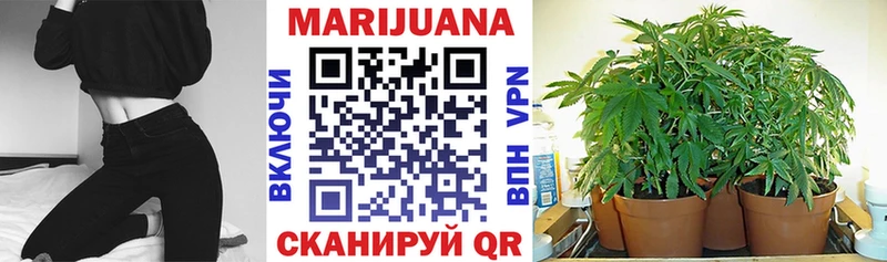 цены наркотик  Ялуторовск  Канабис индика 